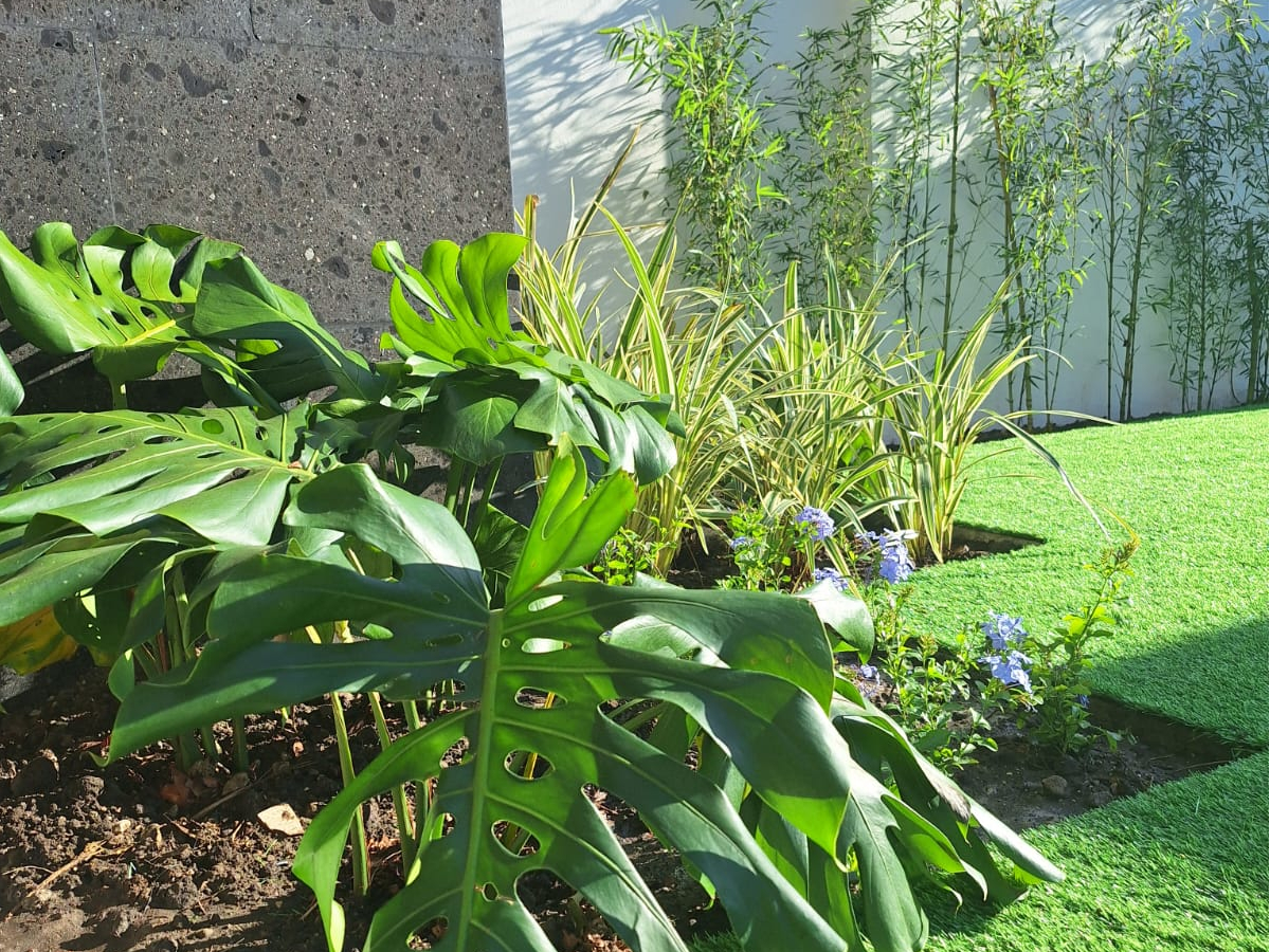 Jardines decorativos